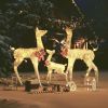 Reindeer Family Christmas Decoration Gold 201 LEDs